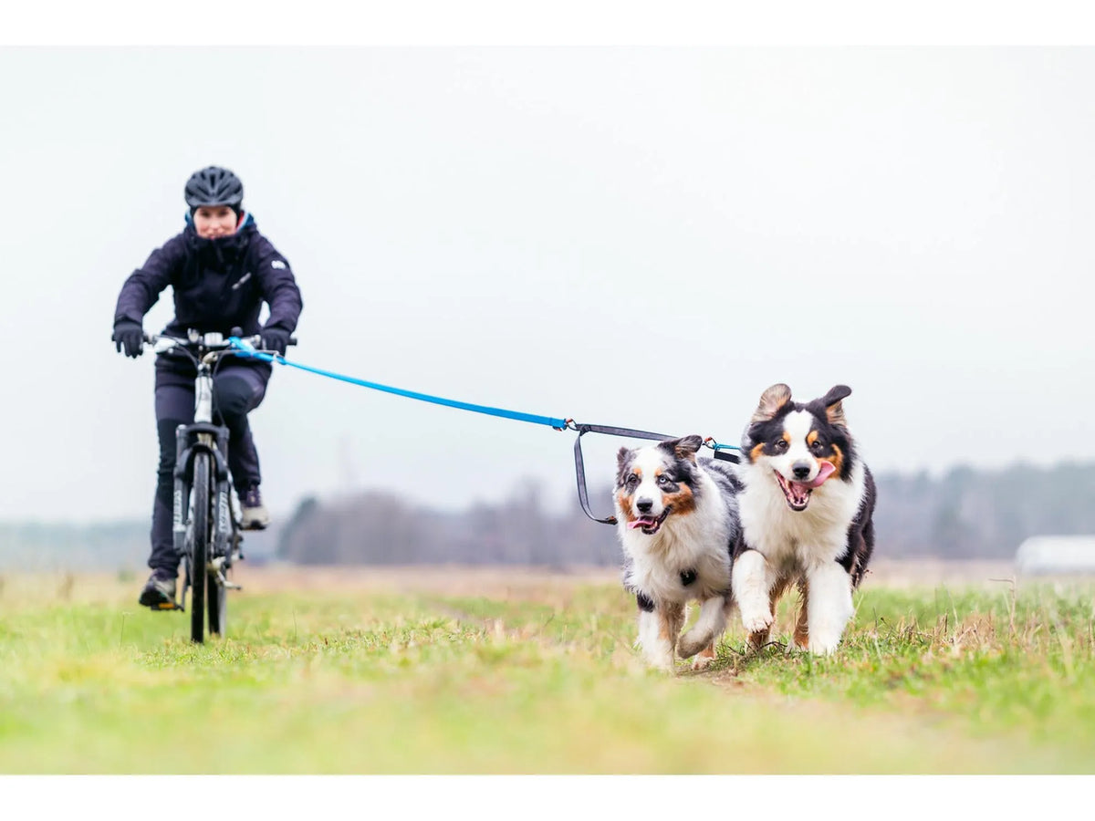Non-stop dogwear Bungee leash Ltd kjørestrikk – Blå