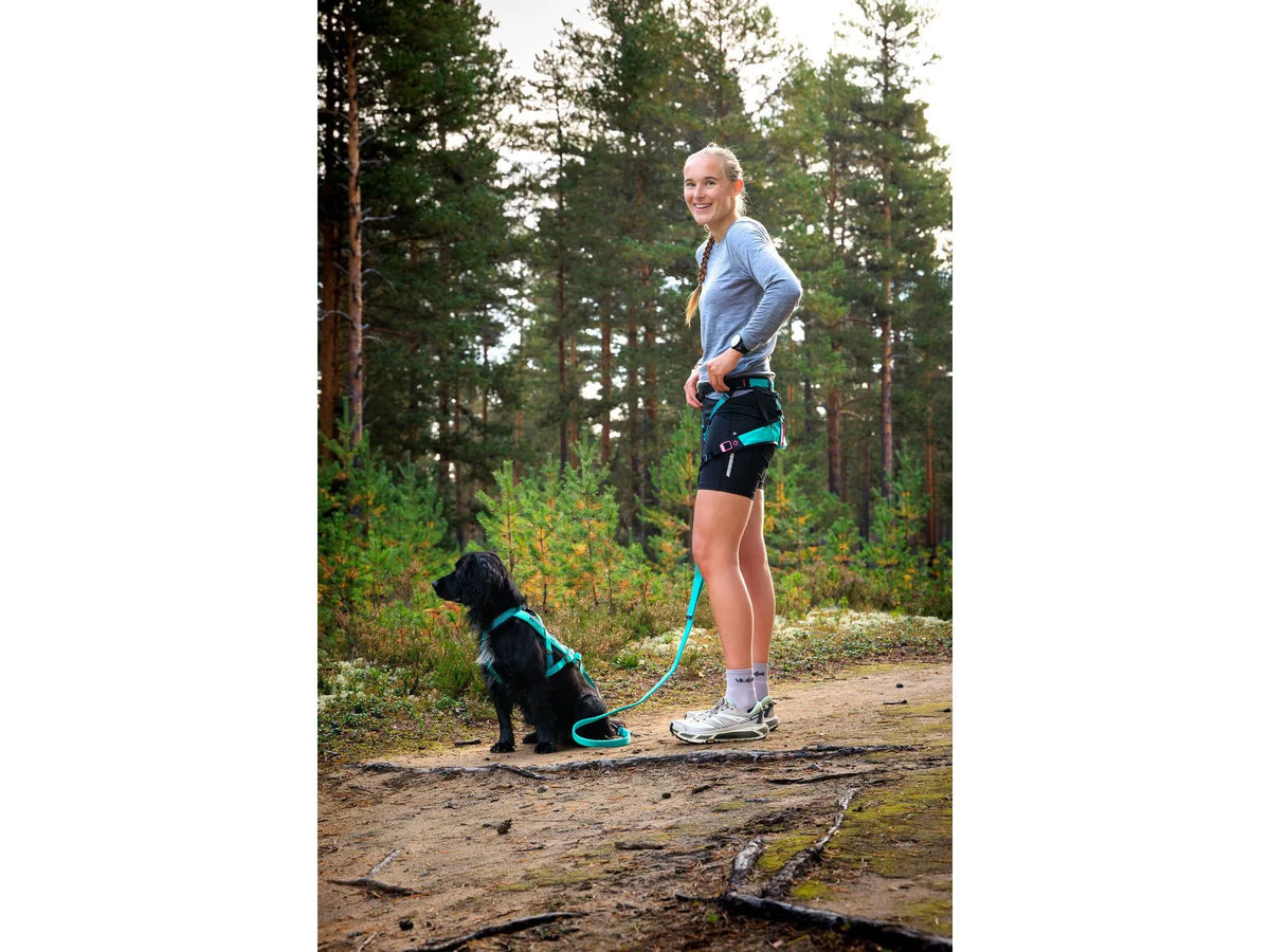 Non-stop dogwear CaniX belt 2.0 løpebelte – Aqua/rosa