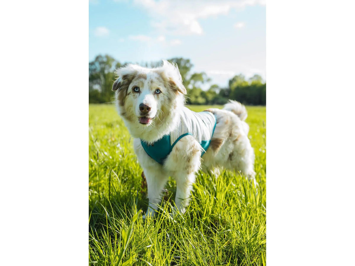 Non-stop dogwear Cooling pull-on kjølevest – Lysegrå