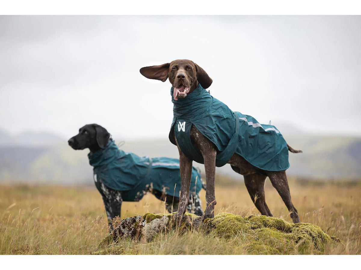 Non-stop dogwear Fjord lined raincoat fôret regndekke – Mørk teal