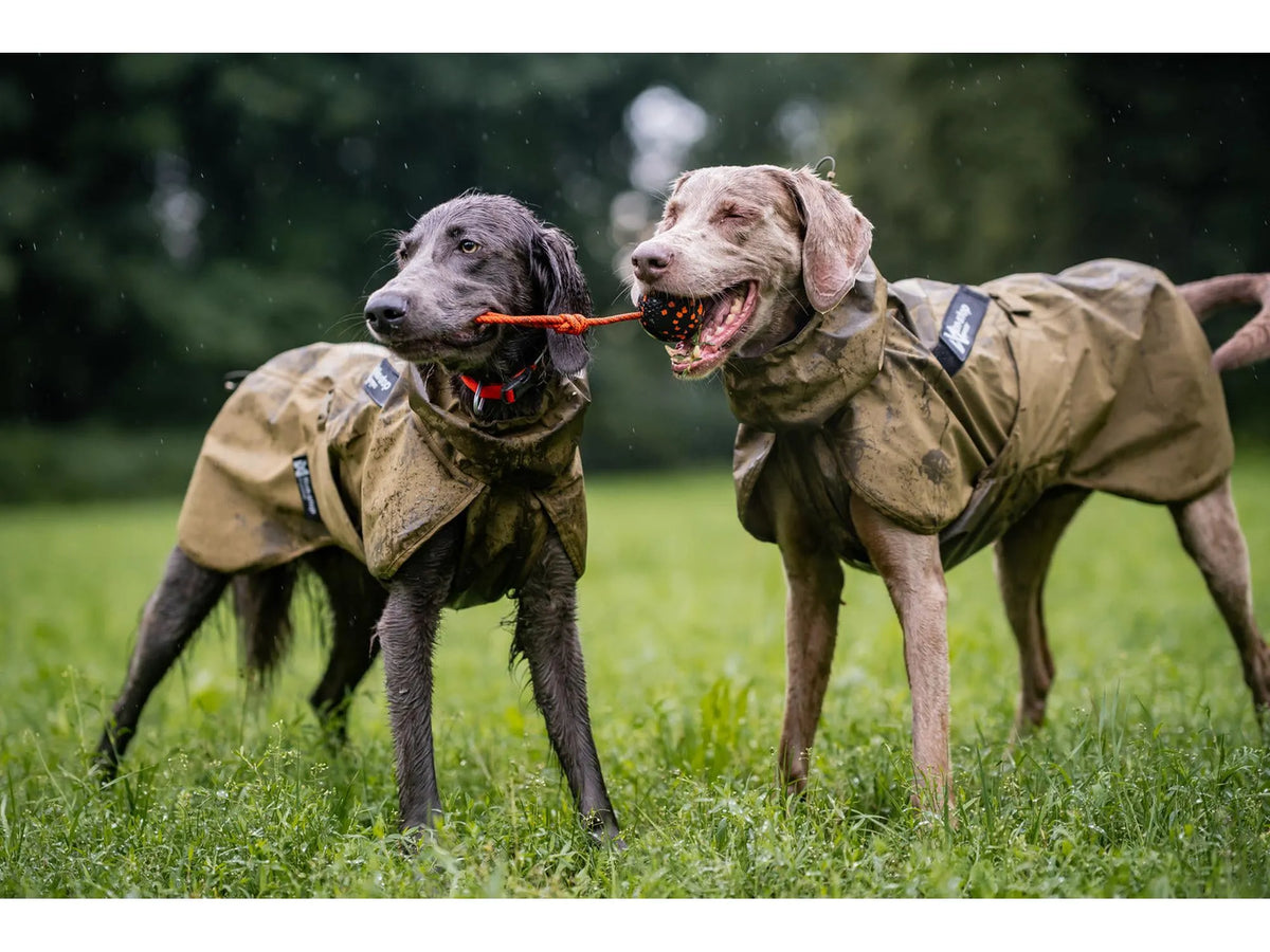 Non-stop dogwear Fjord raincoat WD regndekke – Oliven