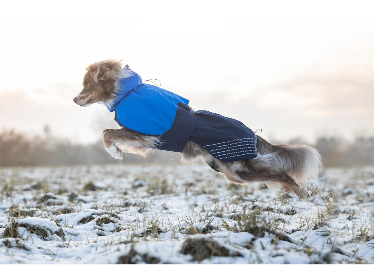 Non-stop dogwear Fjord raincoat regndekke – Blå