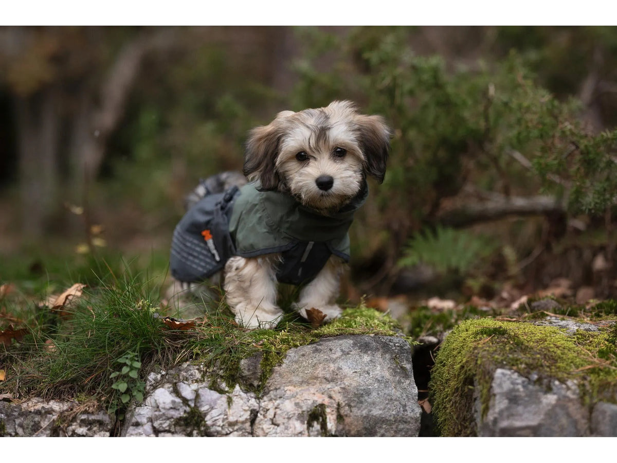 Non-stop dogwear Fjord raincoat regndekke – Grønn/grå