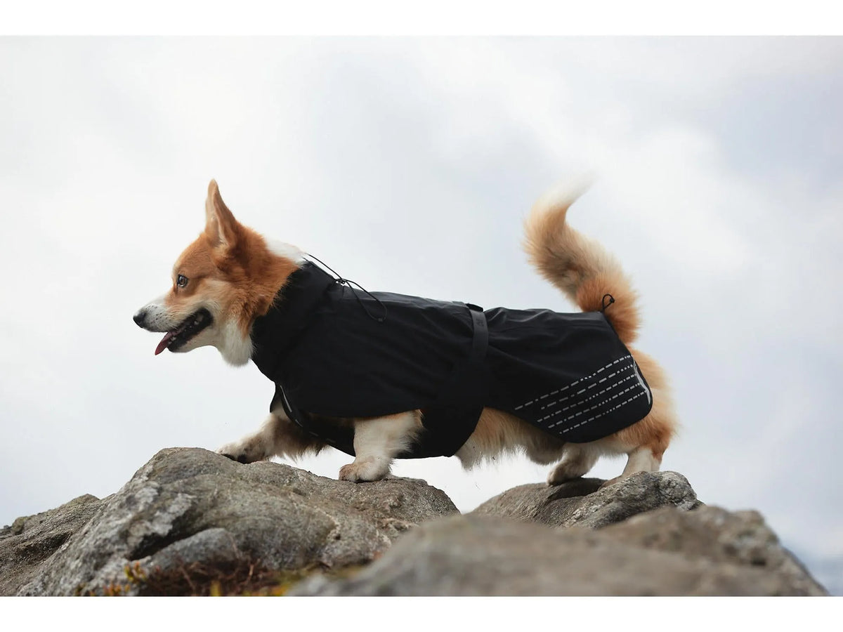 Non-stop dogwear Fjord raincoat regndekke – Svart