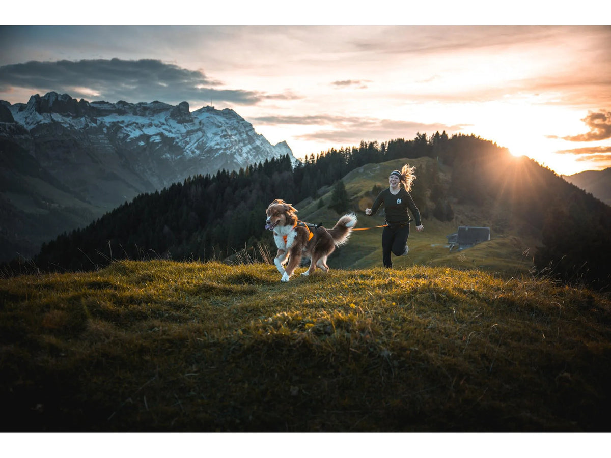 Non-stop dogwear Freemotion harness 5.0 trekksele – Svart/oransje