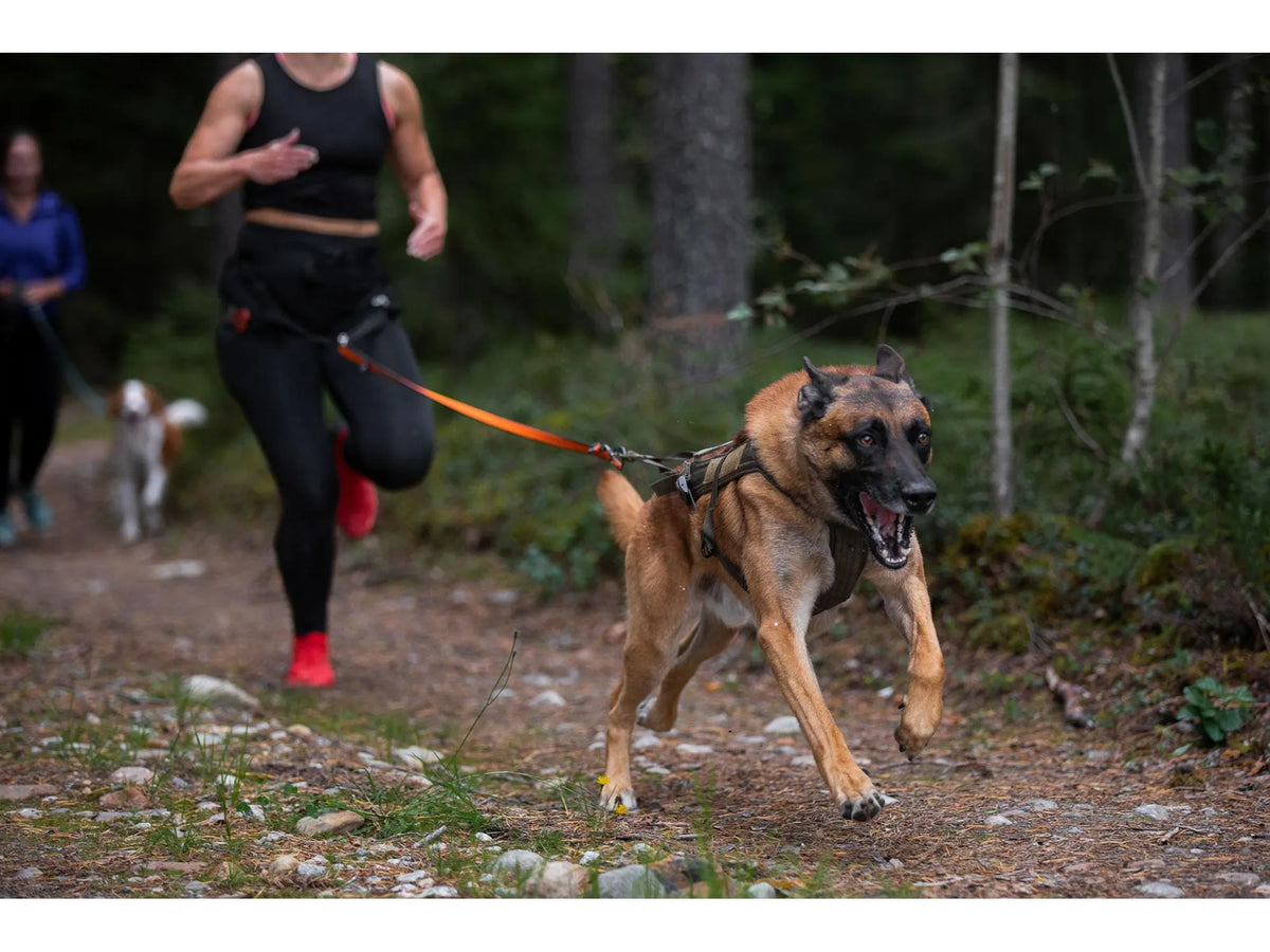Non-stop dogwear Freemotion harness WD trekksele – Oliven