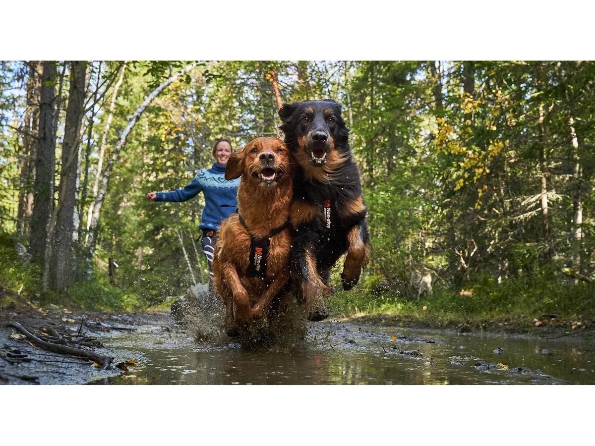 Non-stop dogwear Freemotion harness trekksele – Svart