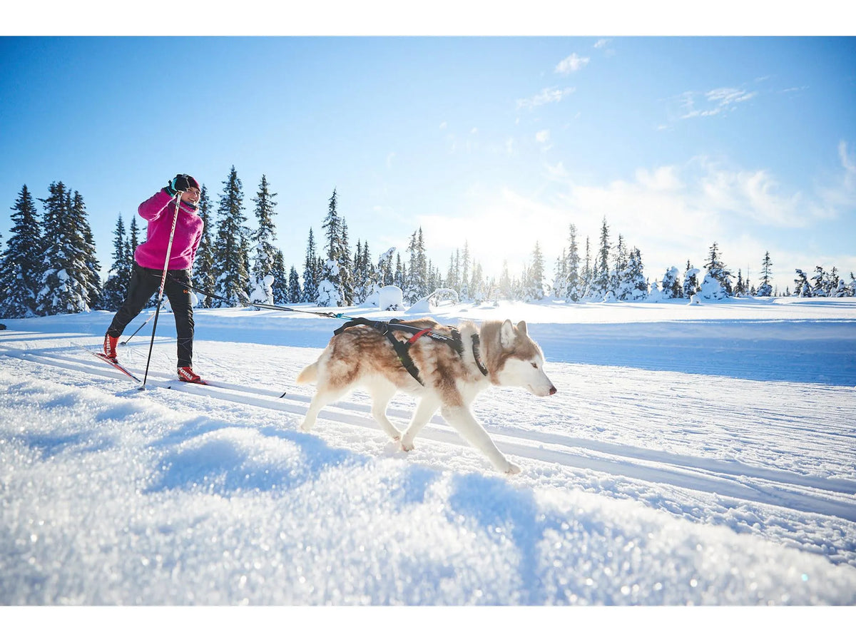 Non-stop dogwear Freemotion harness trekksele – Svart