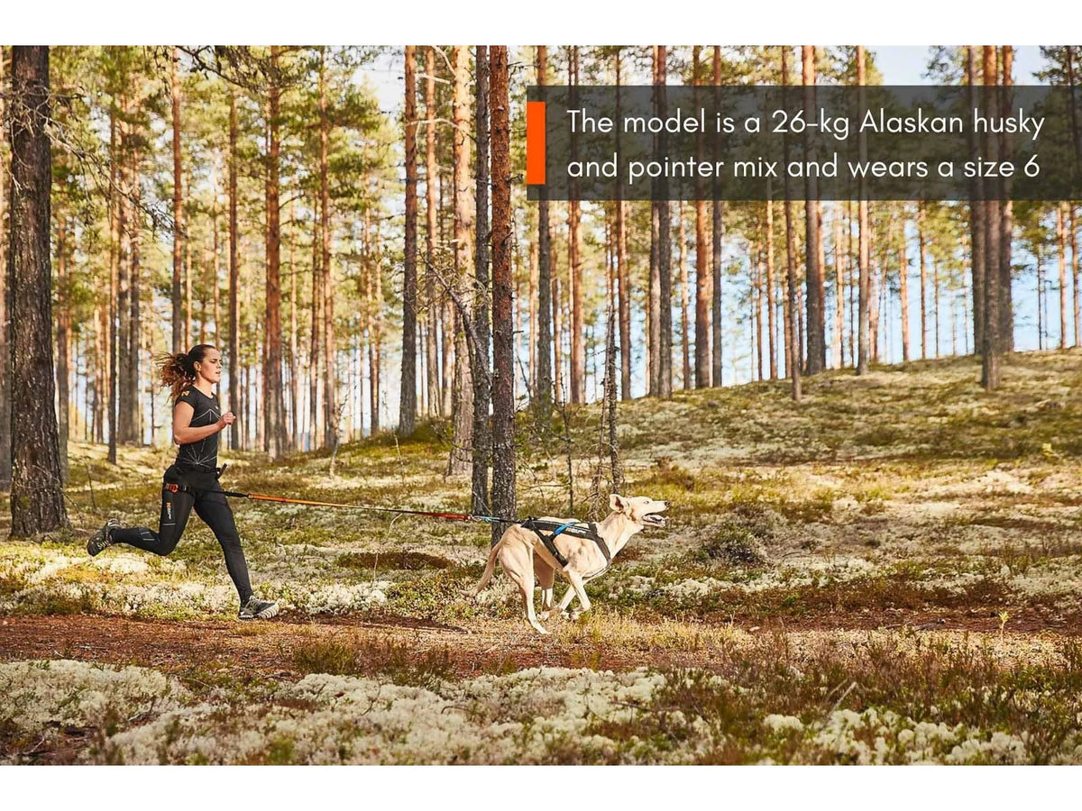Non-stop dogwear Freemotion harness trekksele – Svart