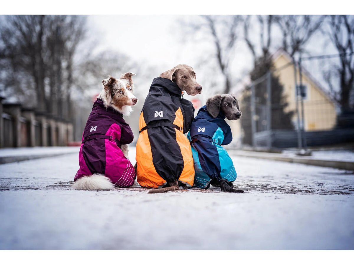 Non-stop dogwear Glacier jacket 2.0 varmedekken – Marine/teal/rød