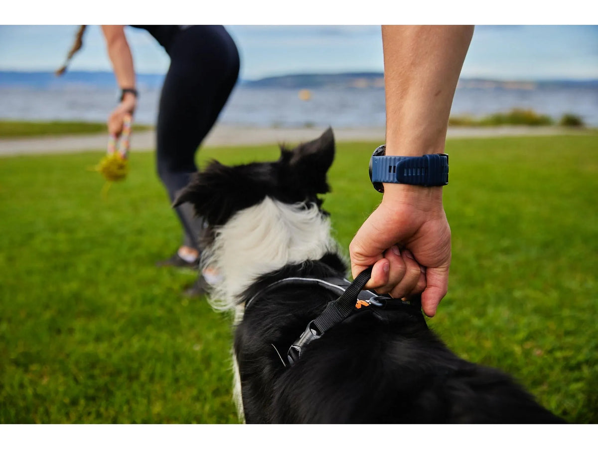 Non-stop dogwear Line harness grip hundesele – Svart