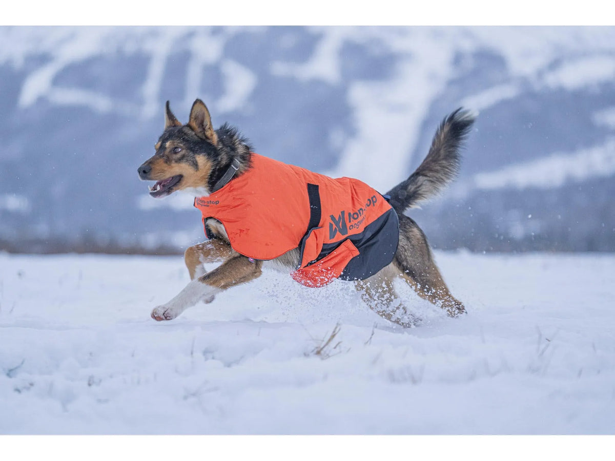 Non-stop dogwear Long distance + jacket vinterjakke – Oransje