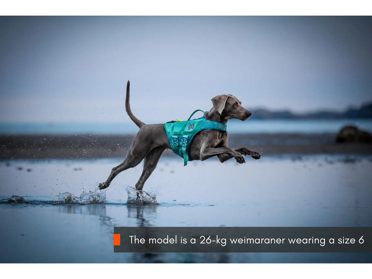 Non-stop dogwear Protector life jacket flytevest – Teal