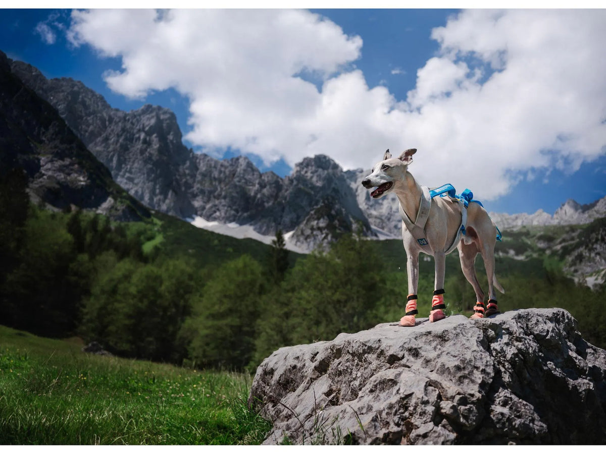 Non-stop dogwear Protector light socks high potesokker – Oransje