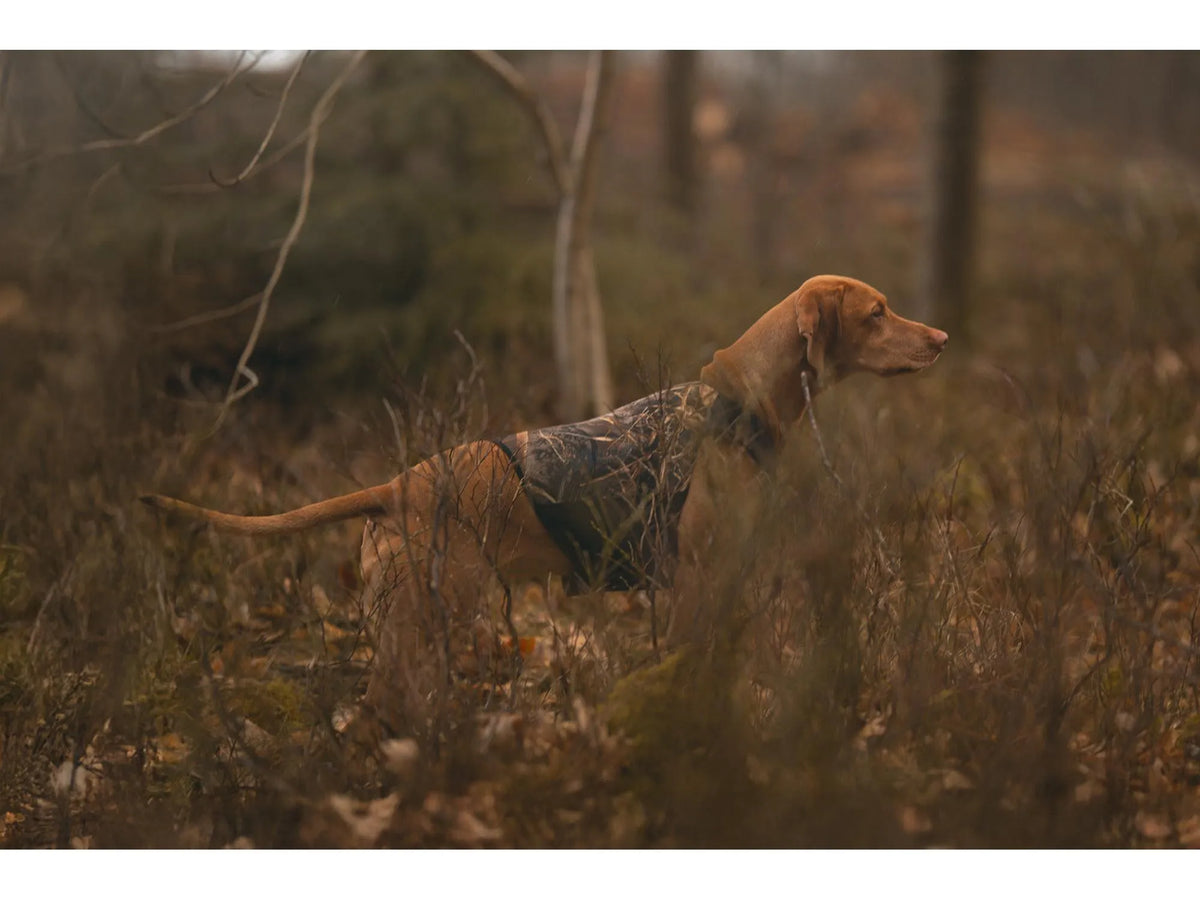 Non-stop dogwear Protector neoprene vest light neoprenvest – Realtree camo