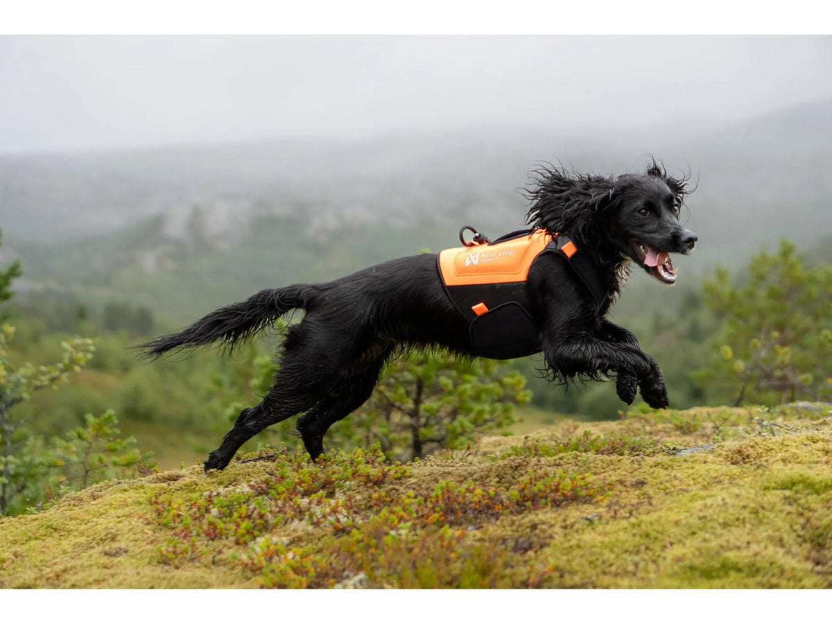 Non-stop dogwear Protector neoprene vest neoprenvest – Oransje