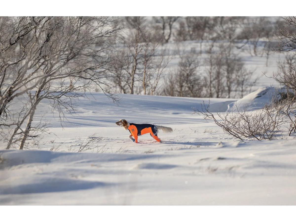 Non-stop dogwear Protector snow heldress tispe – Svart/oransje