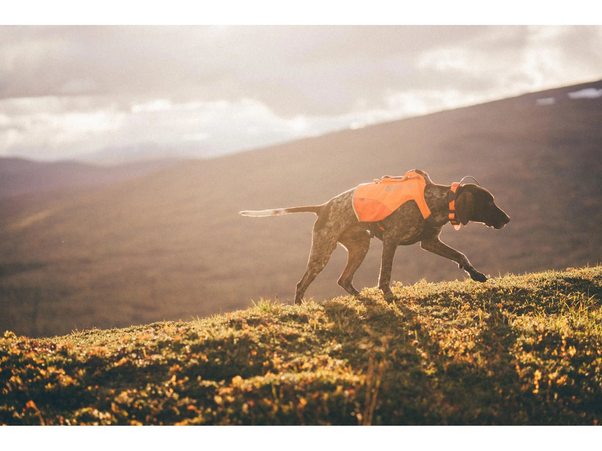 Non-stop dogwear Protector vest GPS jaktdekken – Oransje