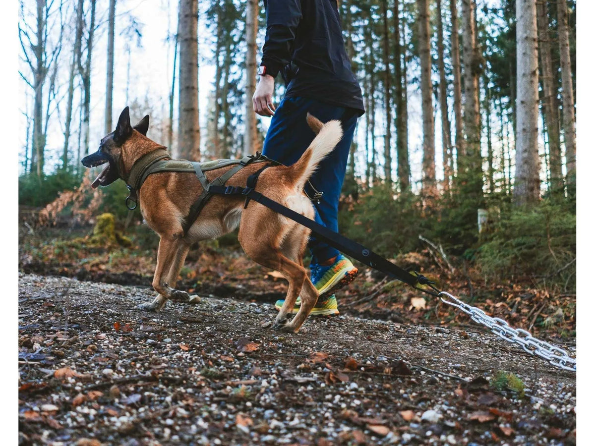 Non-stop dogwear Pulling attachment WD trekktilbehør – Svart