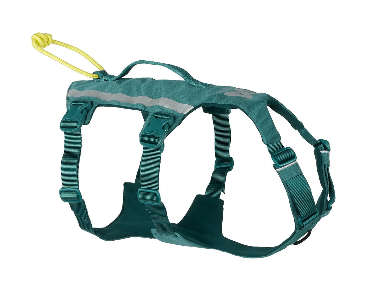 Non-stop dogwear Ramble harness long tursele – Teal