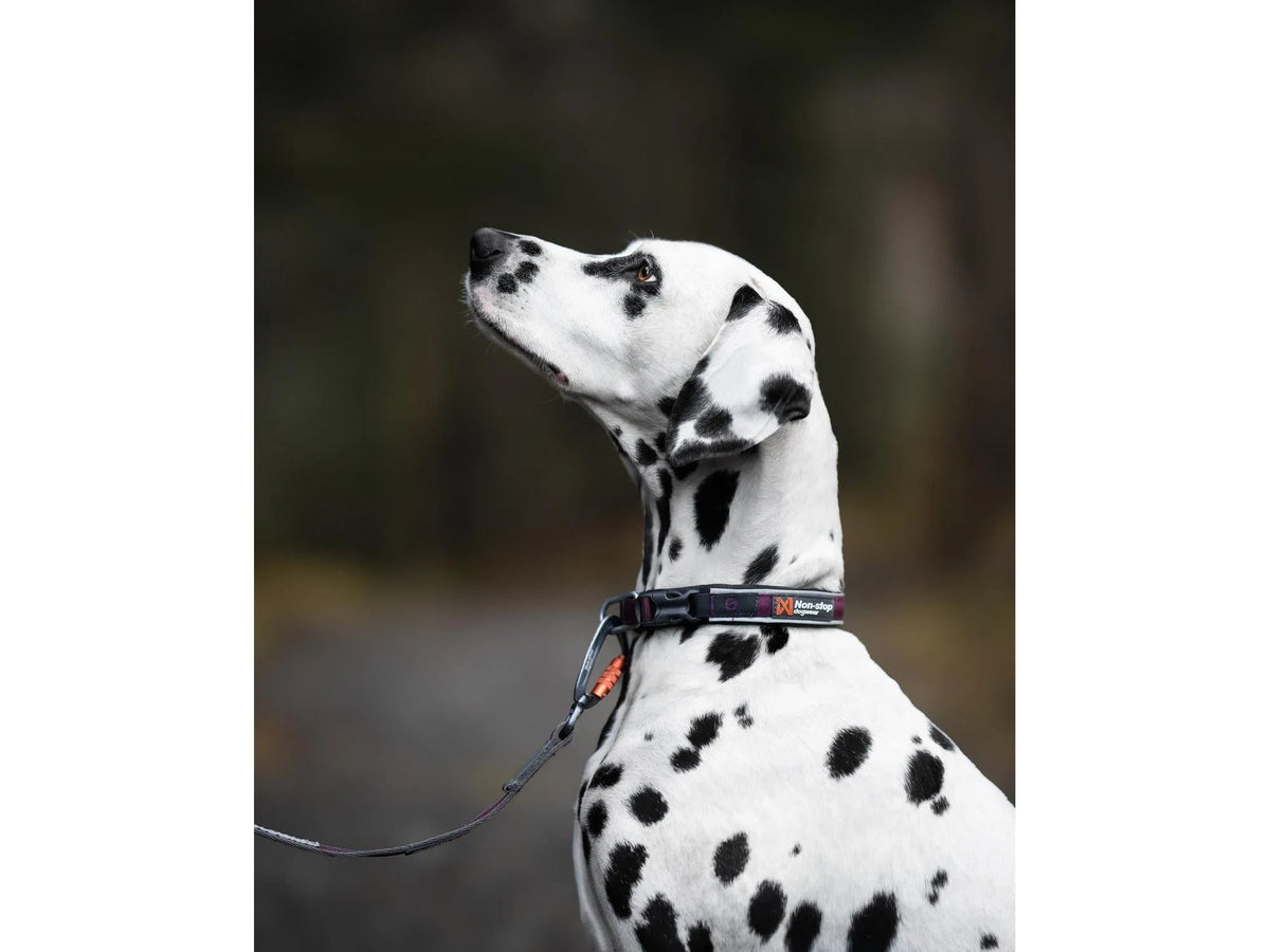 Non-stop dogwear Roam collar halsbånd – Lilla