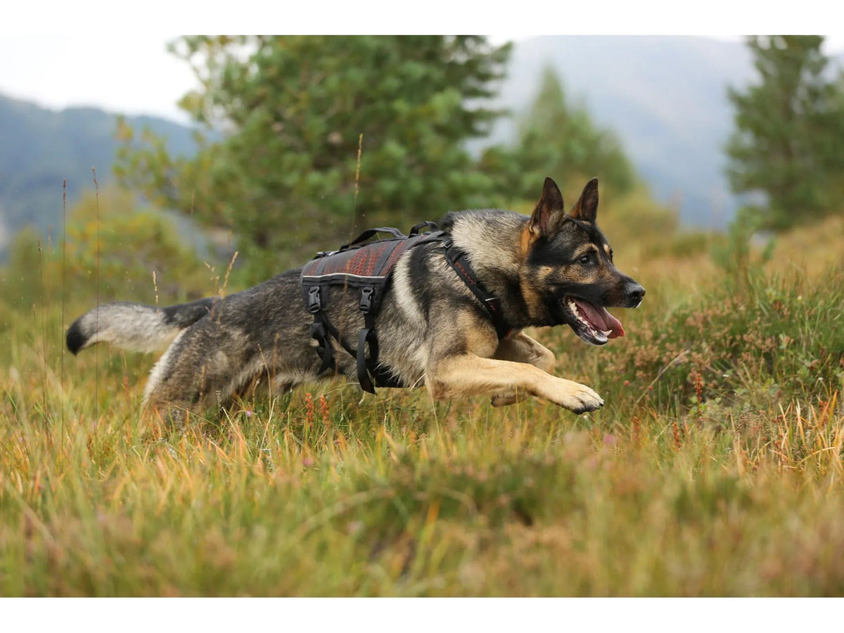 Non-stop dogwear Rock harness long tursele – Svart/oransje