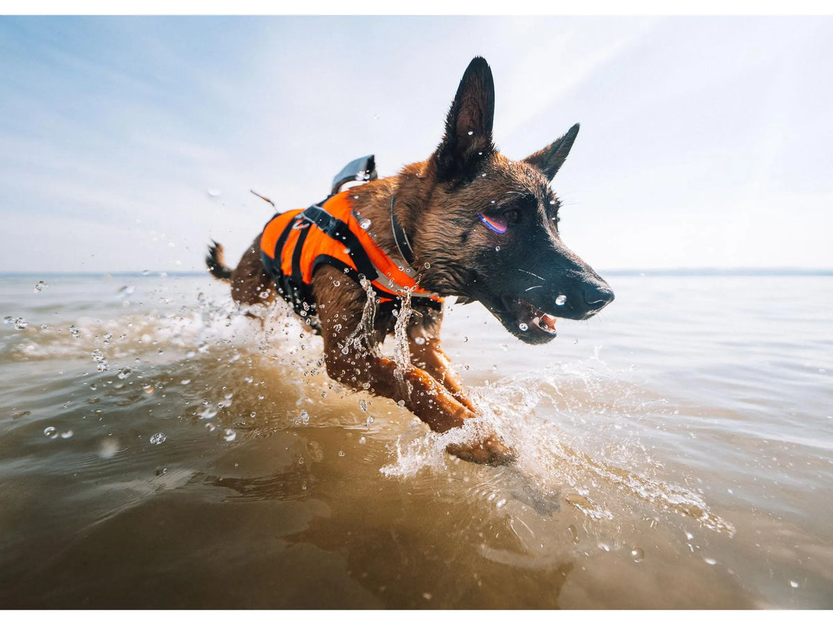 Non-stop dogwear Safe life jacket 2.0 flytevest – Oransje