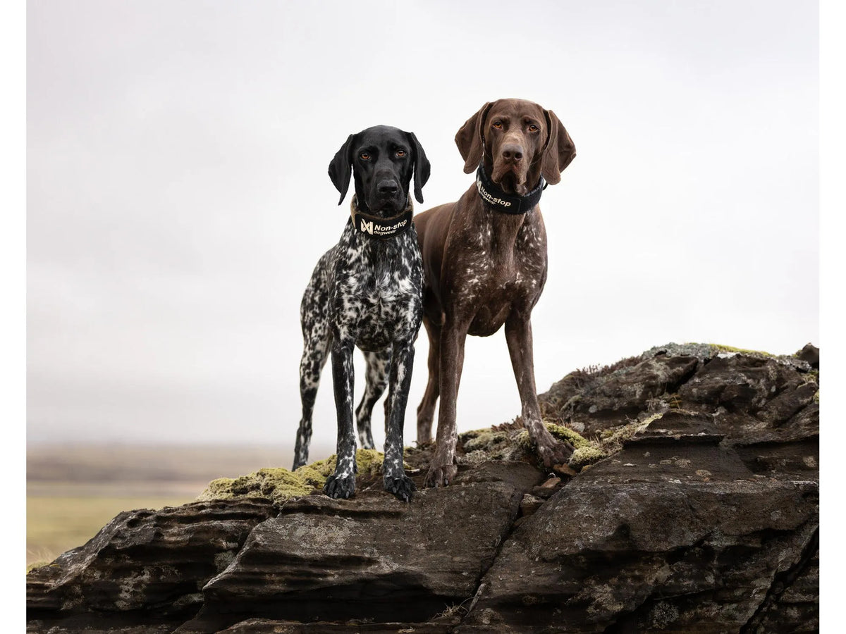 Non-stop dogwear Solid collar WD halvstruphalsbånd – Svart