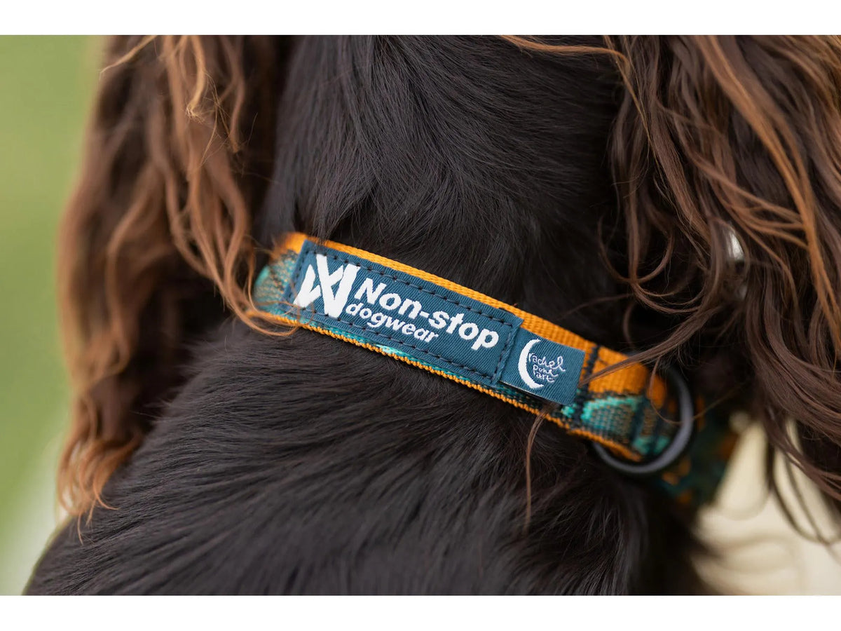 Non-stop dogwear Trail quest collar RP signature edition halsbånd – Teal/eik