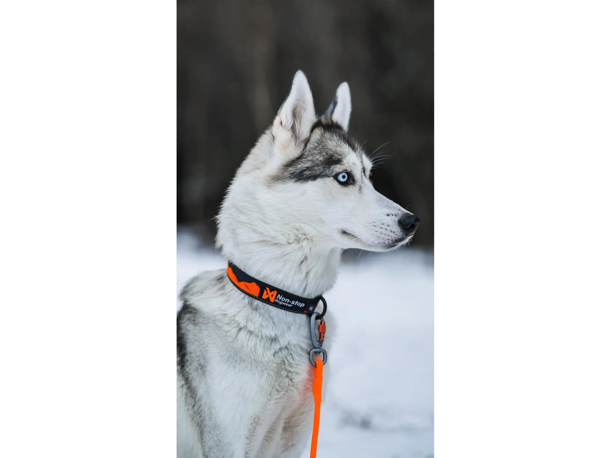 Non-stop dogwear Trail quest collar halsbånd – Oransje/svart