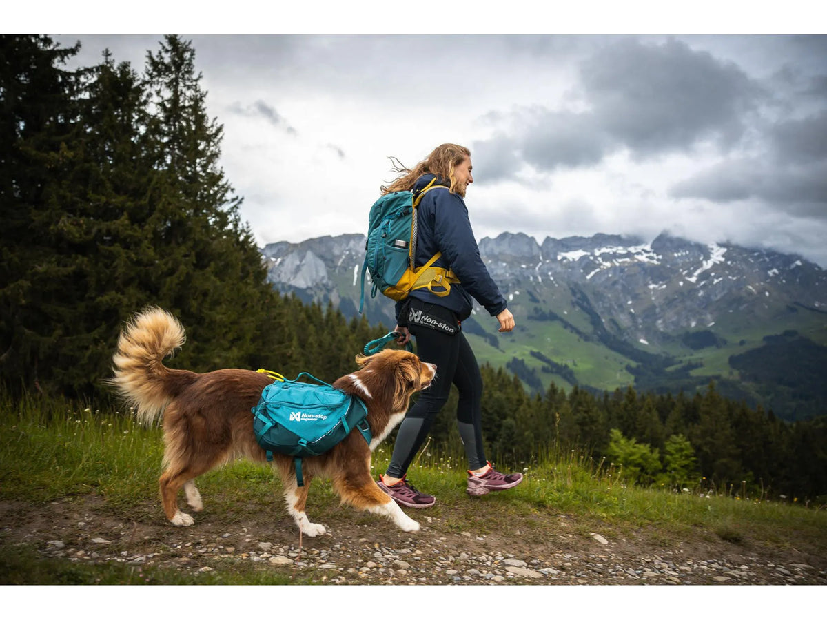 Non-stop dogwear Trail quest dog backpack hundesekk – Mørk teal