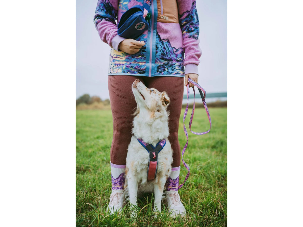 Non-stop dogwear Trail quest leash Rachel Pohl edition leiebånd – Lilla/rosa