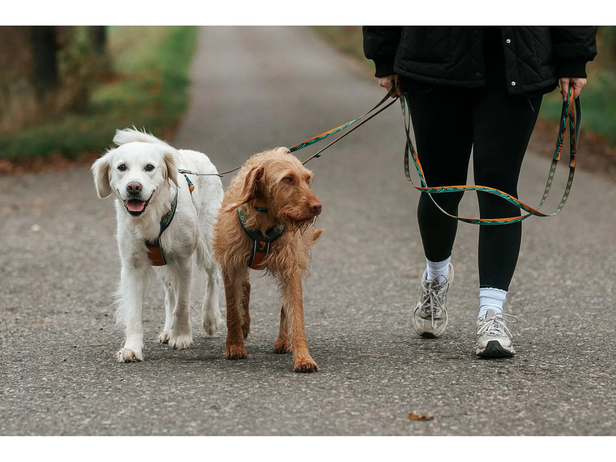 Non-stop dogwear Trail quest leash Rachel Pohl edition leiebånd – Teal/eik