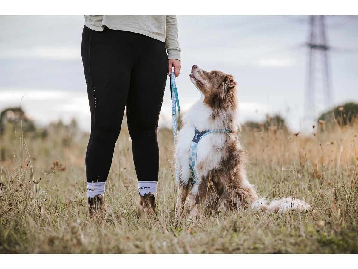 Non-stop dogwear Trail quest leash leiebånd – Isblå