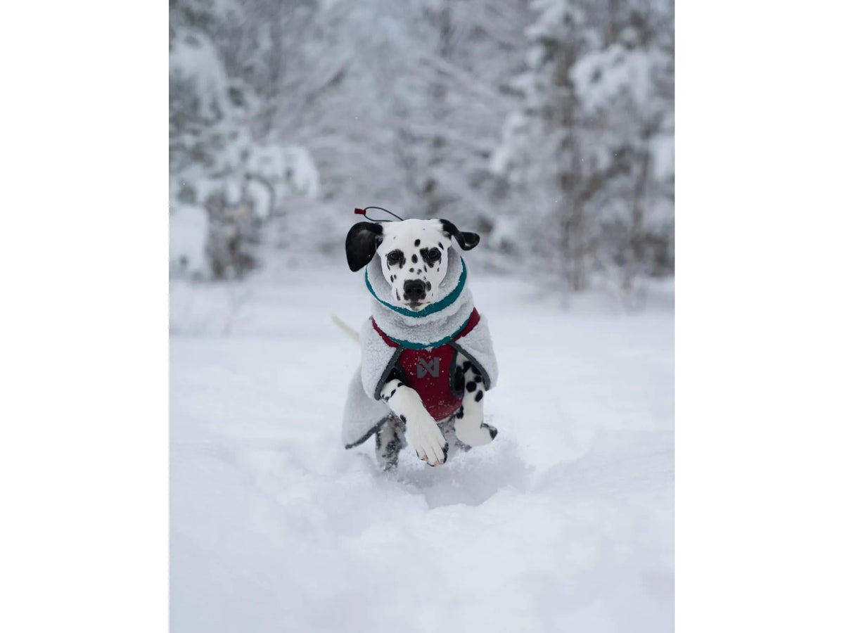 Non-stop dogwear Trekking fleece jacket fleecejakke – Grå/vinrød/teal