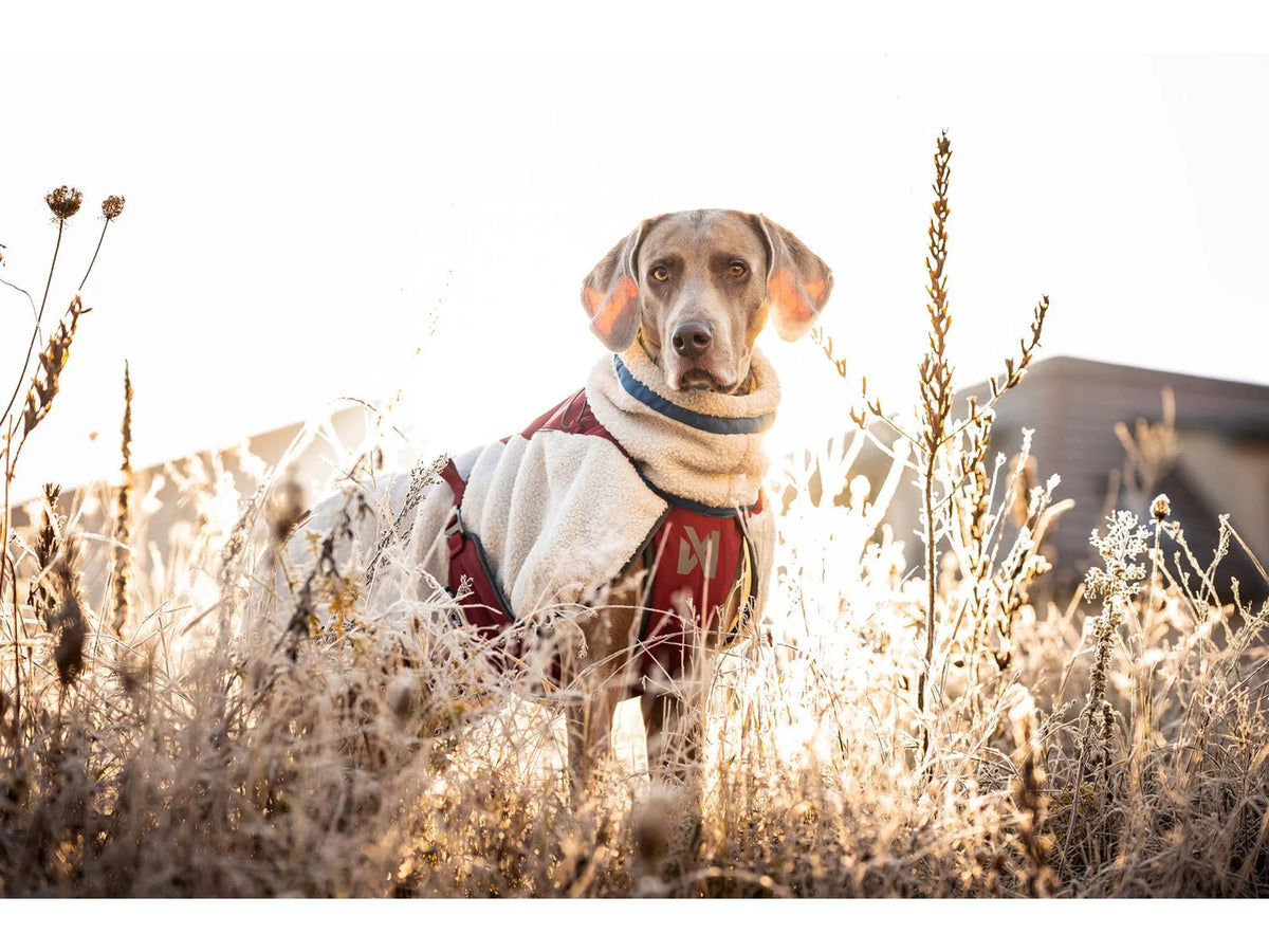 Non-stop dogwear Trekking fleece jacket fleecejakke – Grå/vinrød/teal