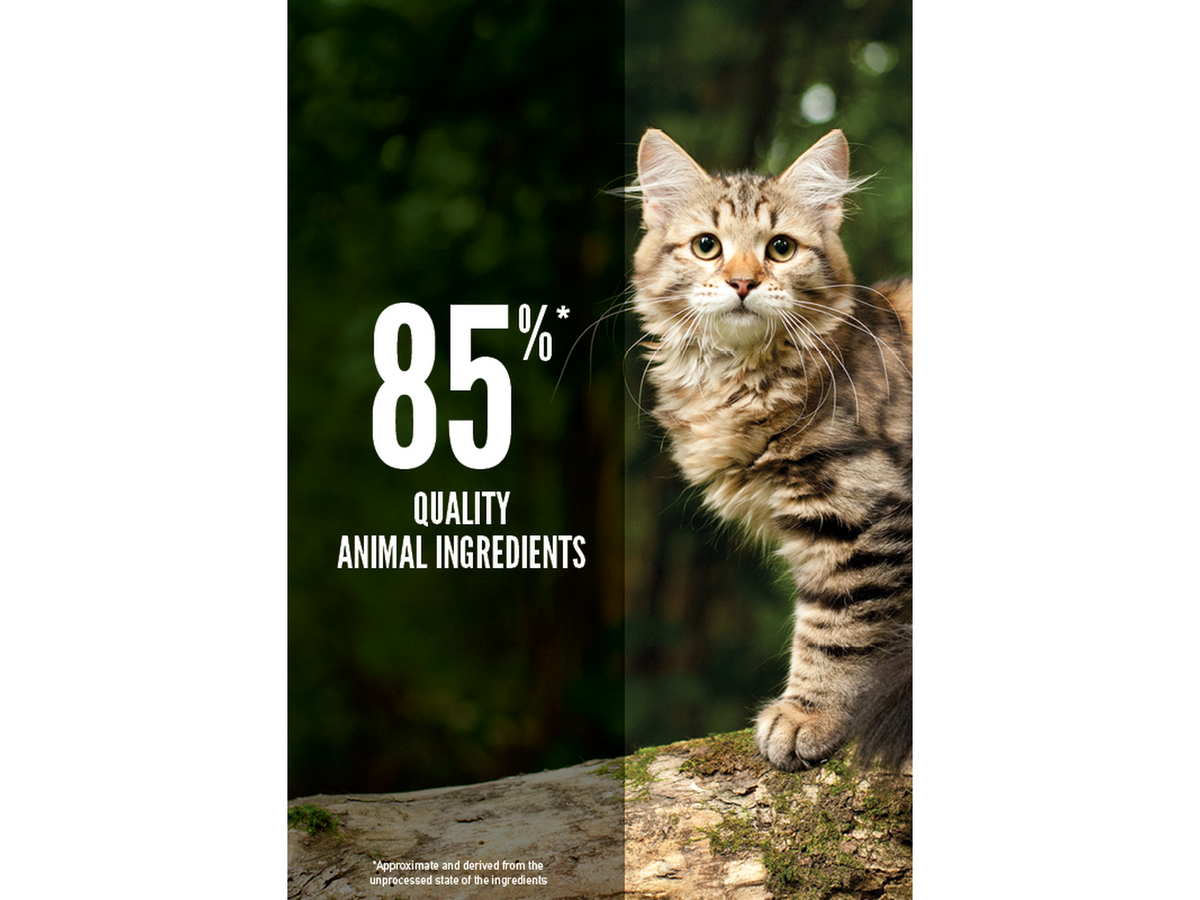 Orijen Tundra Cat