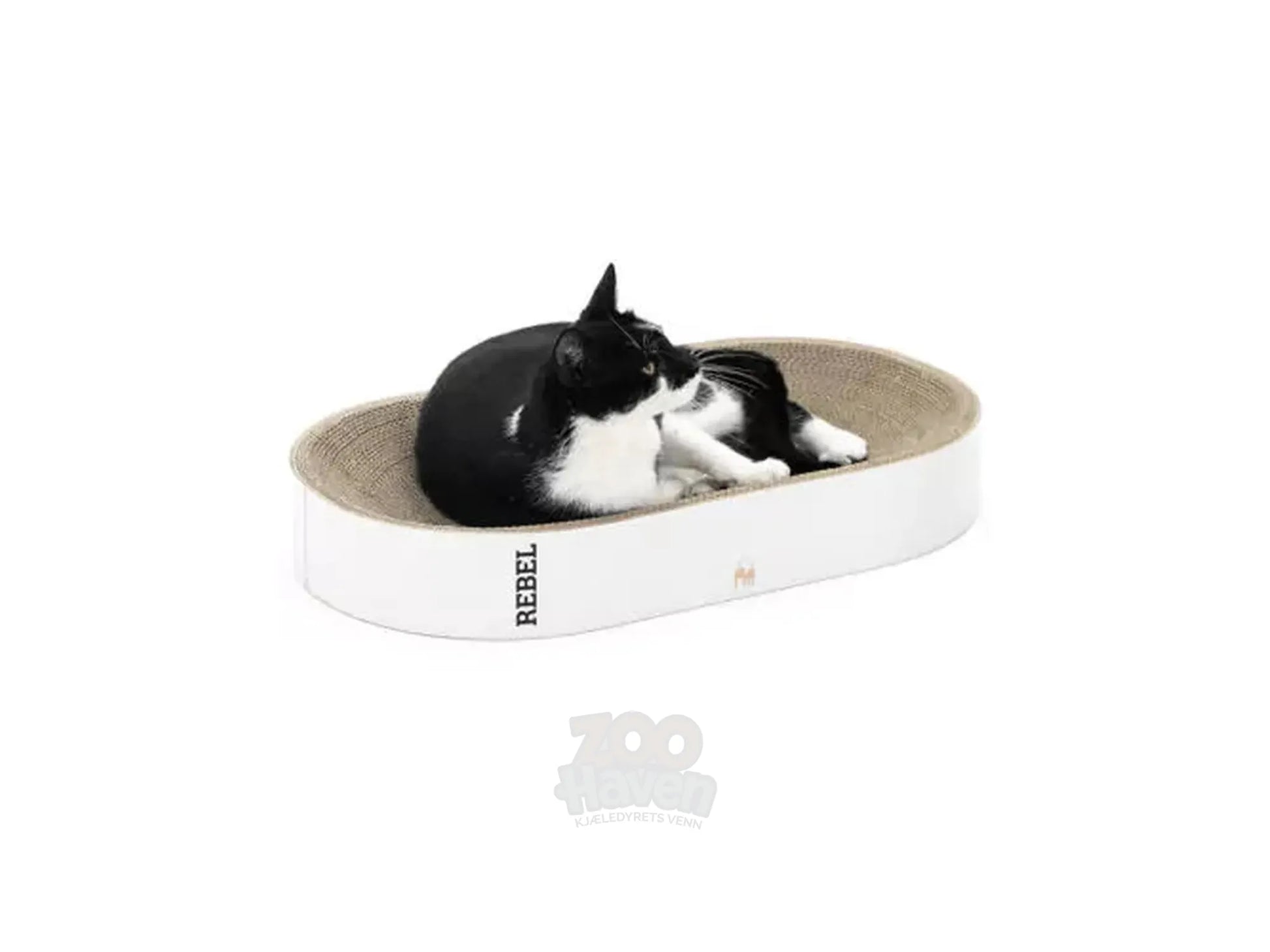 Svart og hvit katt hviler i en oval, hvit Oliver 61 klorekurv i bølgepapp.