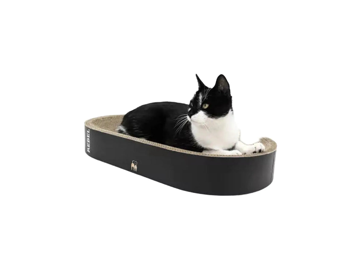 Svart og beige Oliver 61 klorekurv i bølgepapp med en svart-hvit katt som hviler.