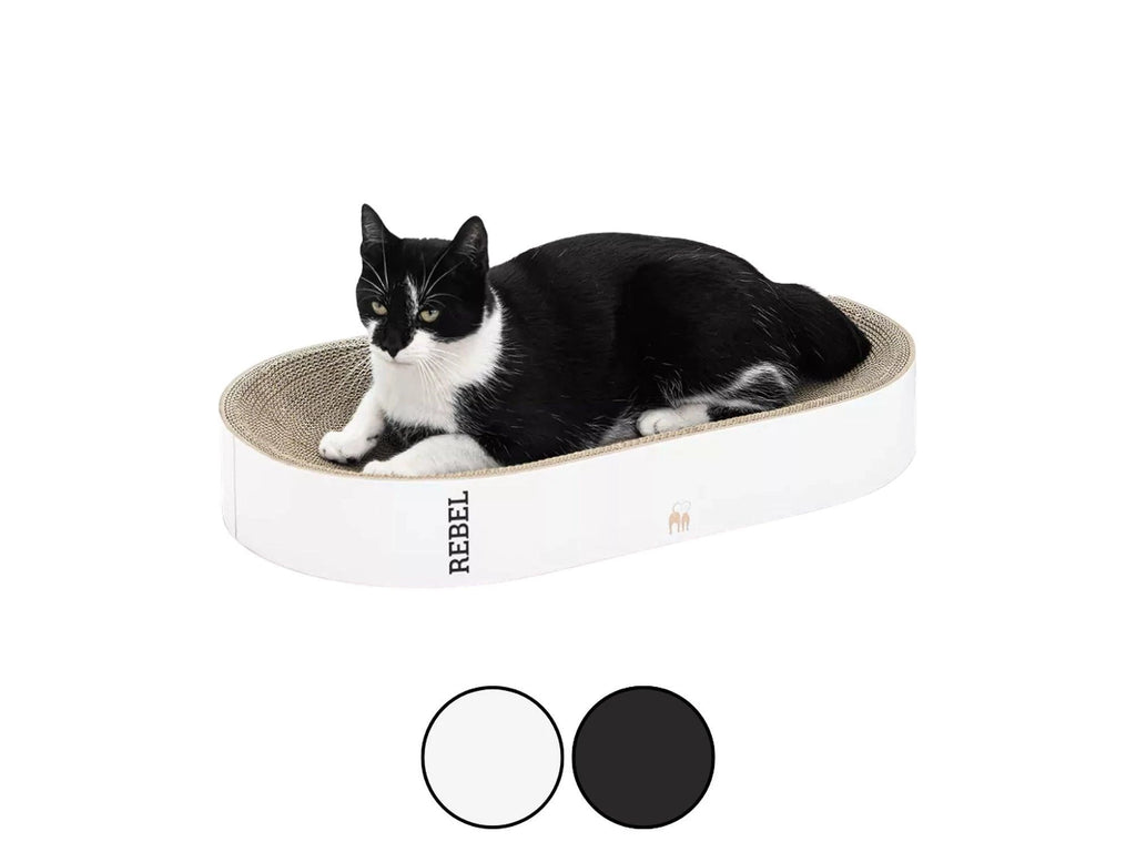 Oliver 61 klorekurv i papp til katt