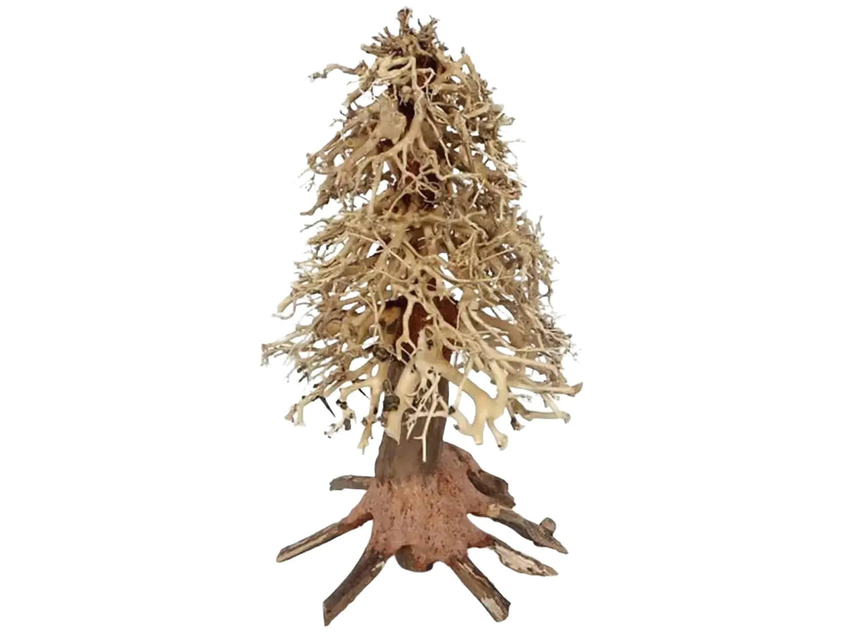 Ozami Akvaristik Bonsai Wood, 20x30x20 cm, med mørk stamme og lys, tett forgrenet topp.