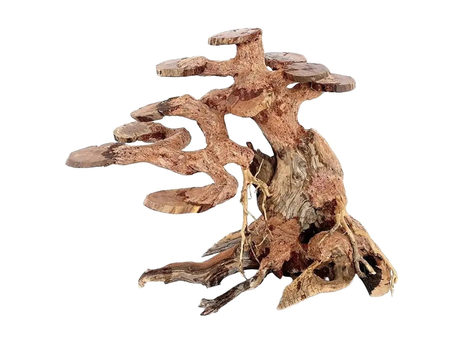 Ozami Akvaristik Bonsai Wood, 23x17x10 cm, dekorativt naturtre med bonsai-lignende forgreninger for akvarium.