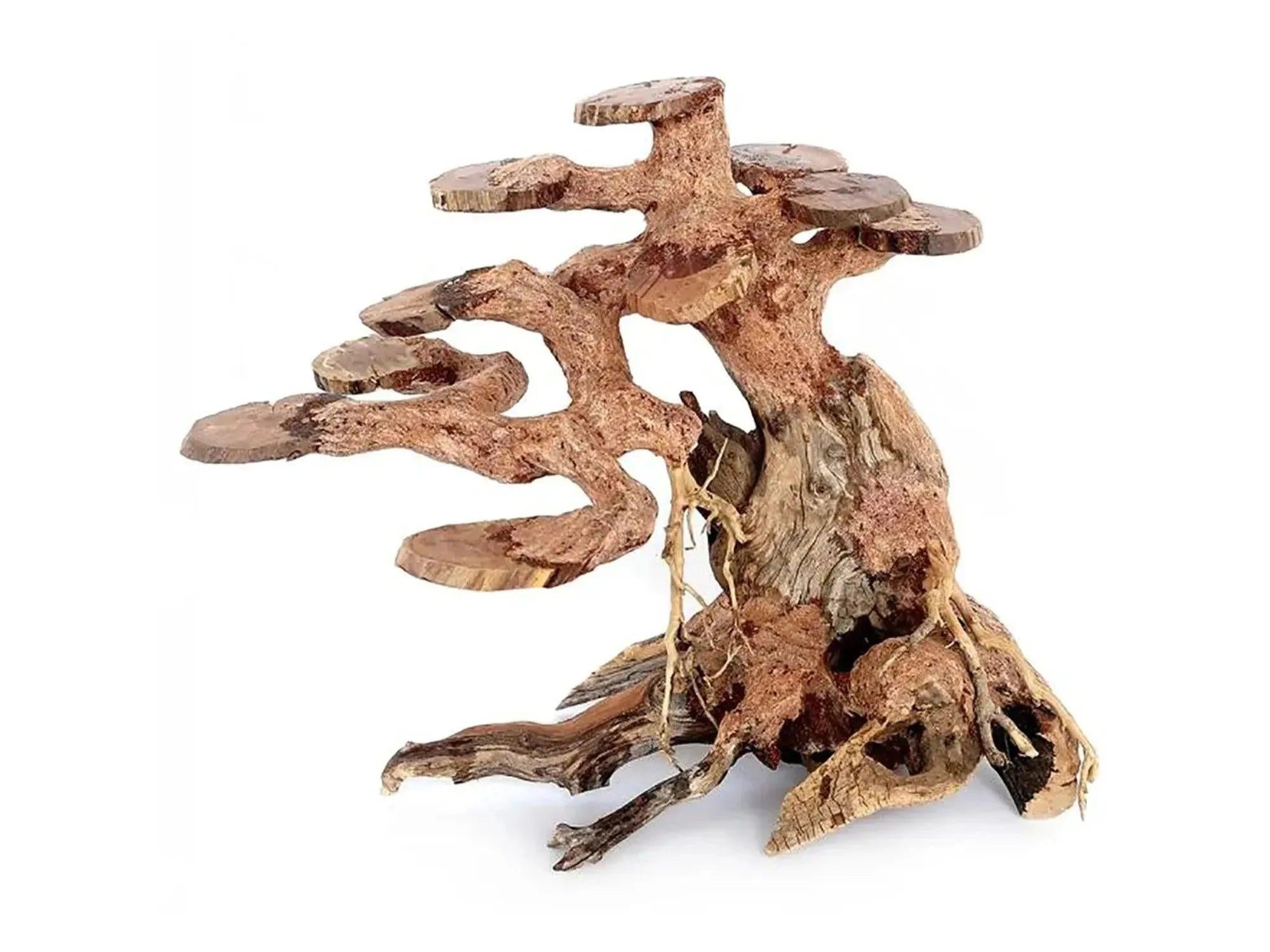 Ozami Akvaristik Bonsai Wood, 23x17x10 cm, dekorativt naturtre med bonsai-lignende forgreninger for akvarium.