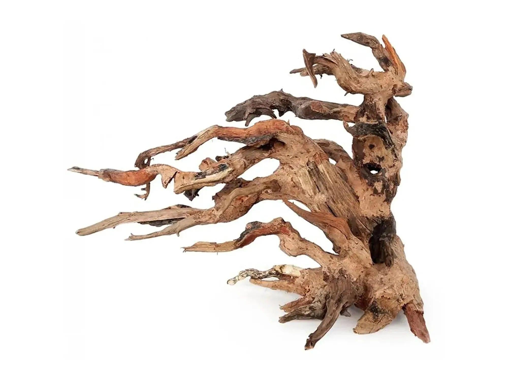 Ozami Akvaristik Bonsai Wood, 25x20x14 cm, med uregelmessige forgreninger for akvarium.
