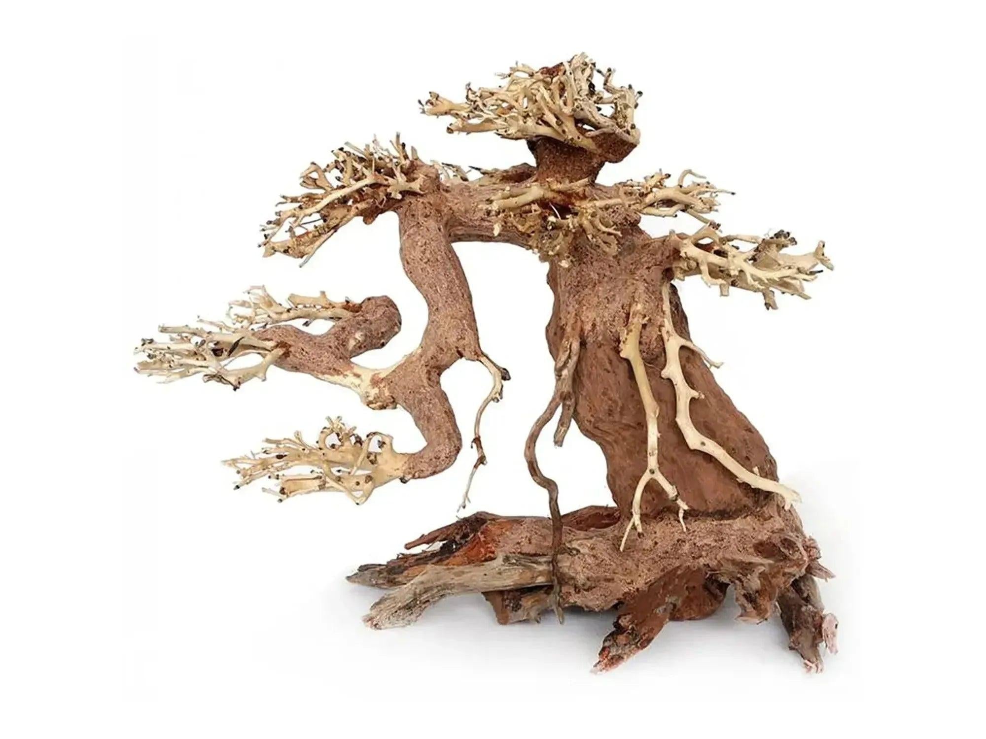 Ozami Akvaristik Bonsai Wood naturtre, et dekorativt brunt treverk med forgreninger for akvarium.