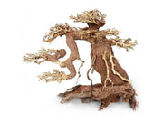 Ozami Akvaristik Bonsai Wood naturtre
