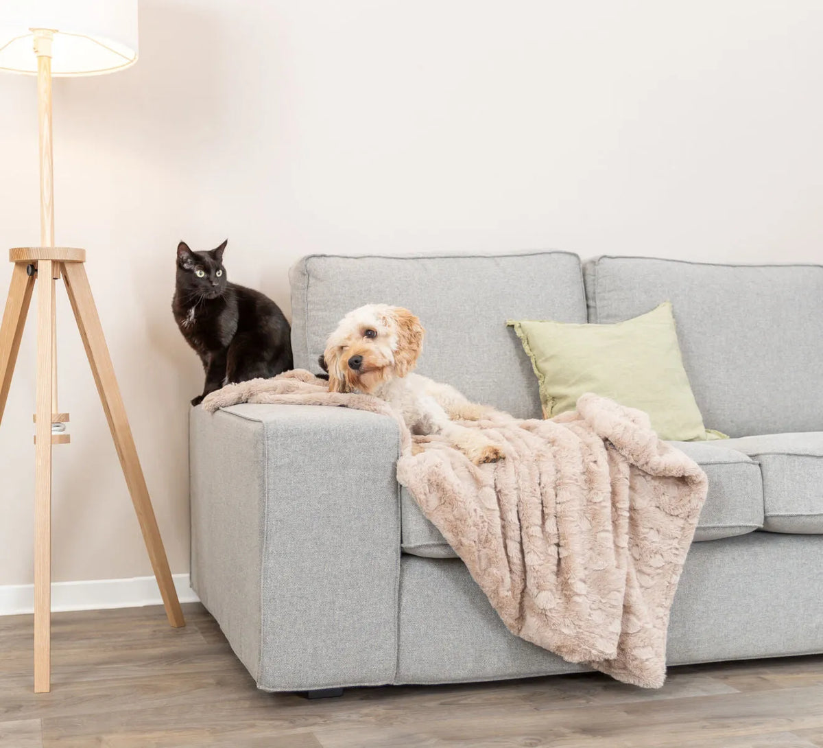 Trixie Cosy Hundeteppe Softplysj Beige