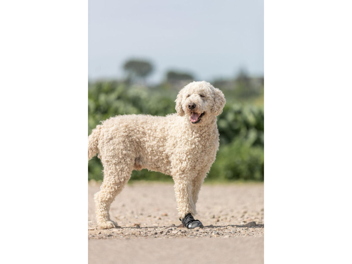 Trixie Walker Active Potesokker – 2 stk