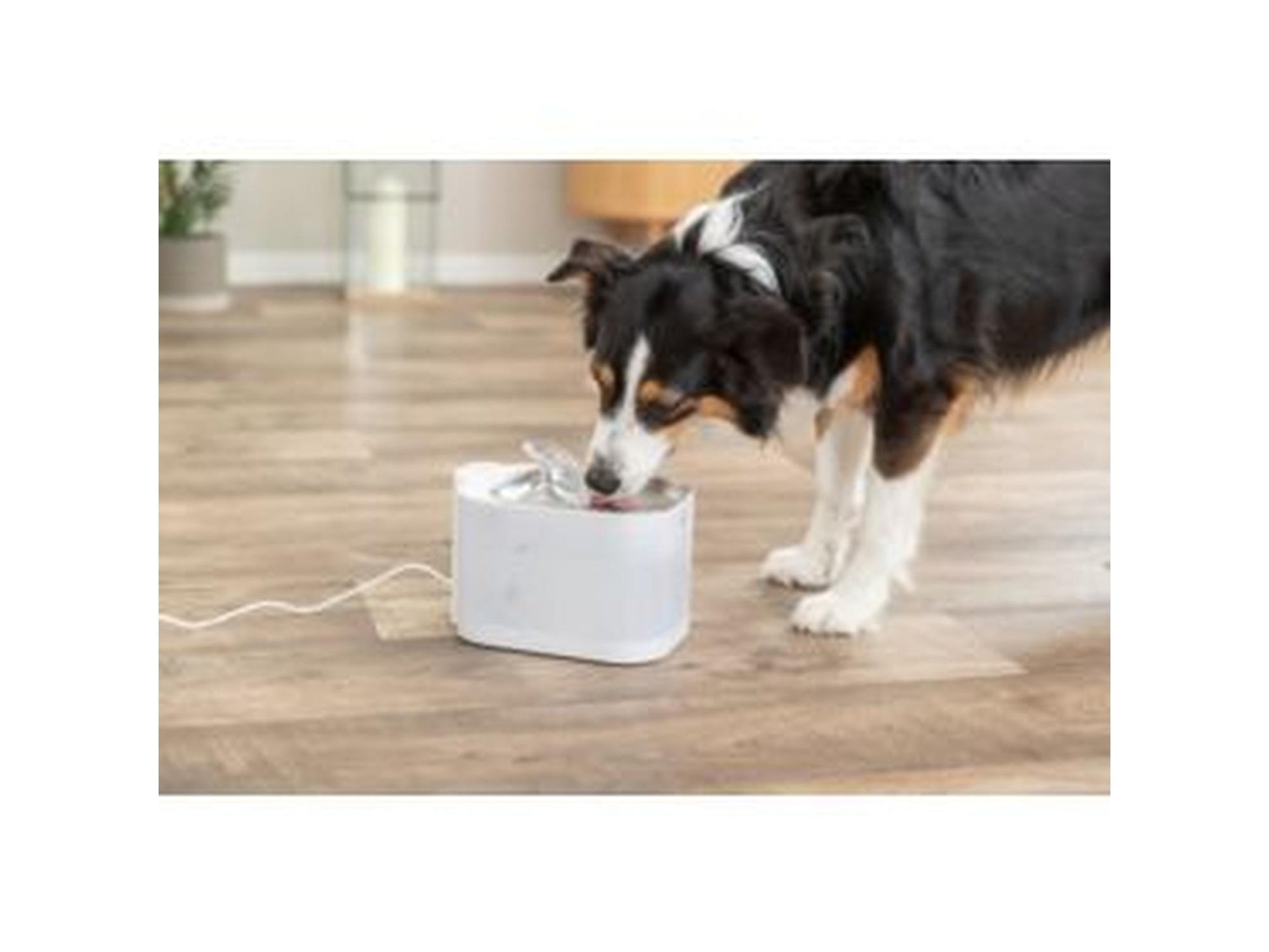 Trixie Aqua Square Drikkefontene 2,5L