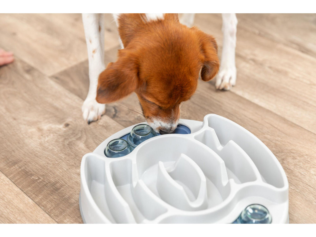 Trixie Dog Activity Slide & Feed – Strategispill nivå 1